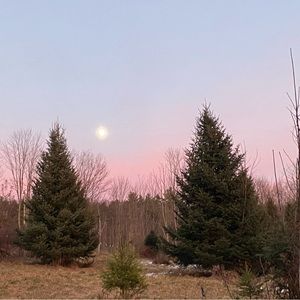 Meet your Posher, Claire